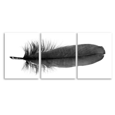 Feather #6 (Goose) Trilogy