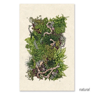 Forest Floor (collective ferns) GRAND FORMAT