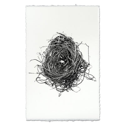 Nest Study #8