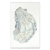 Oyster Study #15