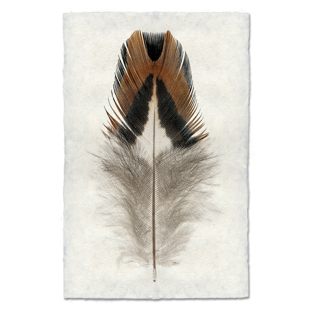Barloga Mountain Luxe — BARLOGA STUDIOS- fine photographs on intriguing papers
