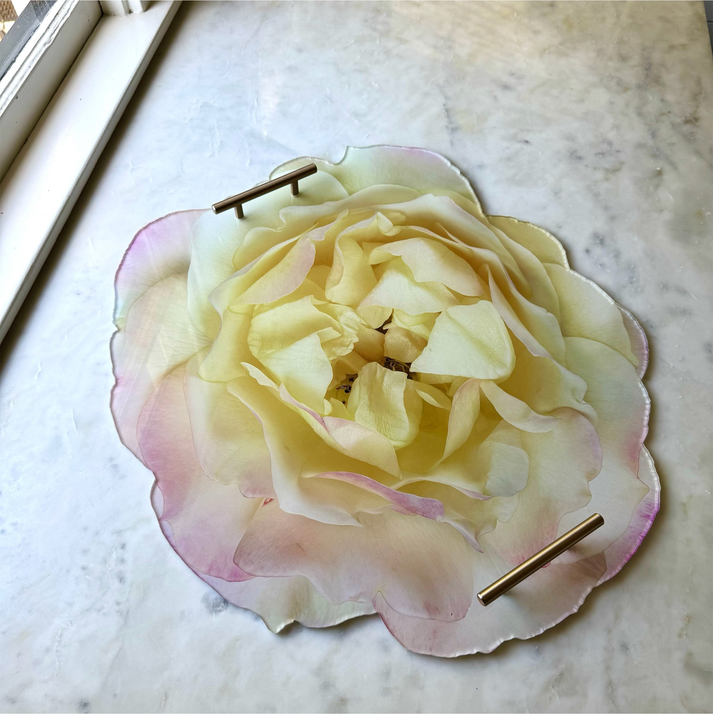 Pink & Yellow Rose