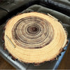 Tree Ring