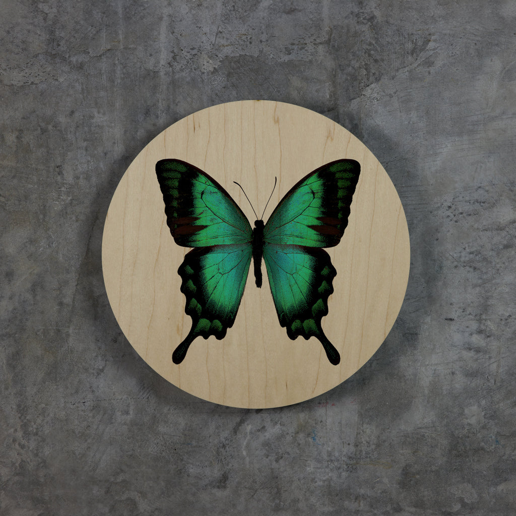 Geometrics - Butterflies