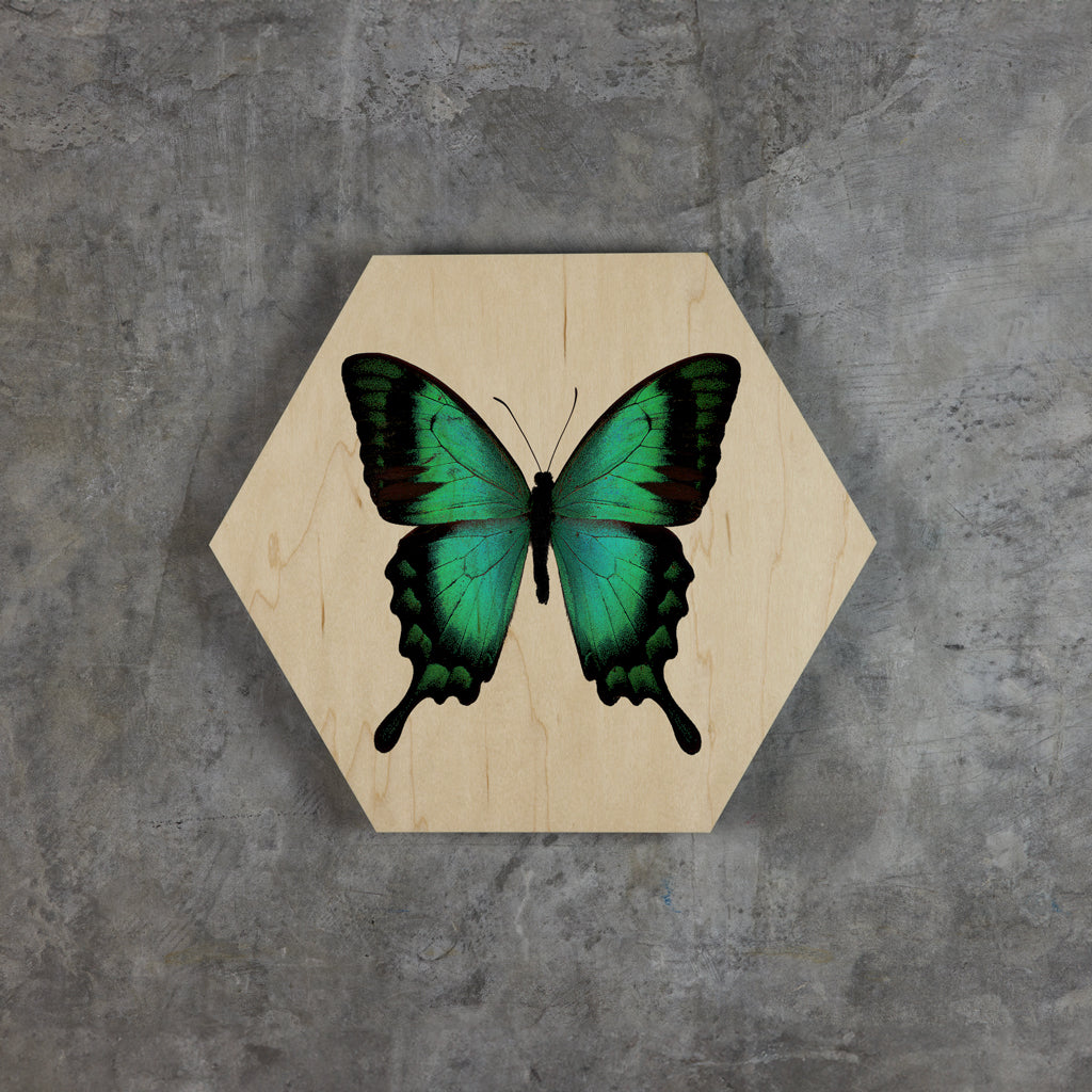 Geometrics - Butterflies