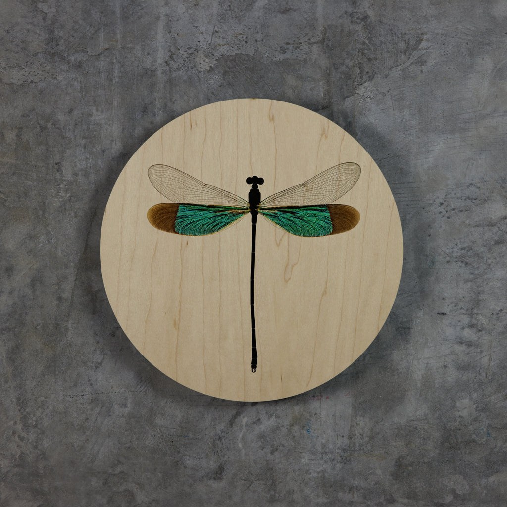 Geometrics - Damsels