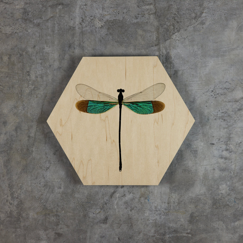 Geometrics - Damsels