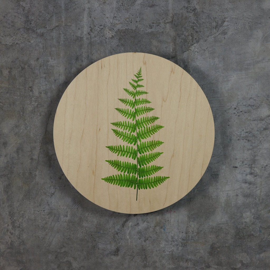 Geometrics - Ferns