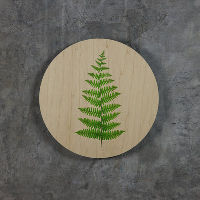 Geometrics - Ferns