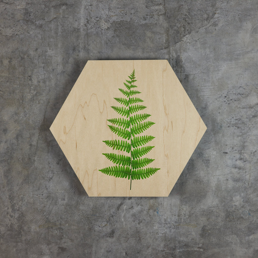 Geometrics - Ferns