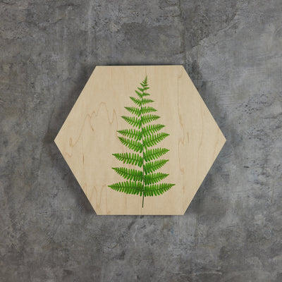 Geometrics - Ferns
