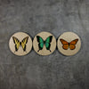 Geometrics - Butterflies