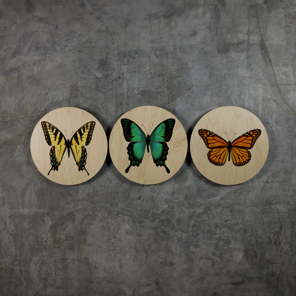 Geometrics - Butterflies