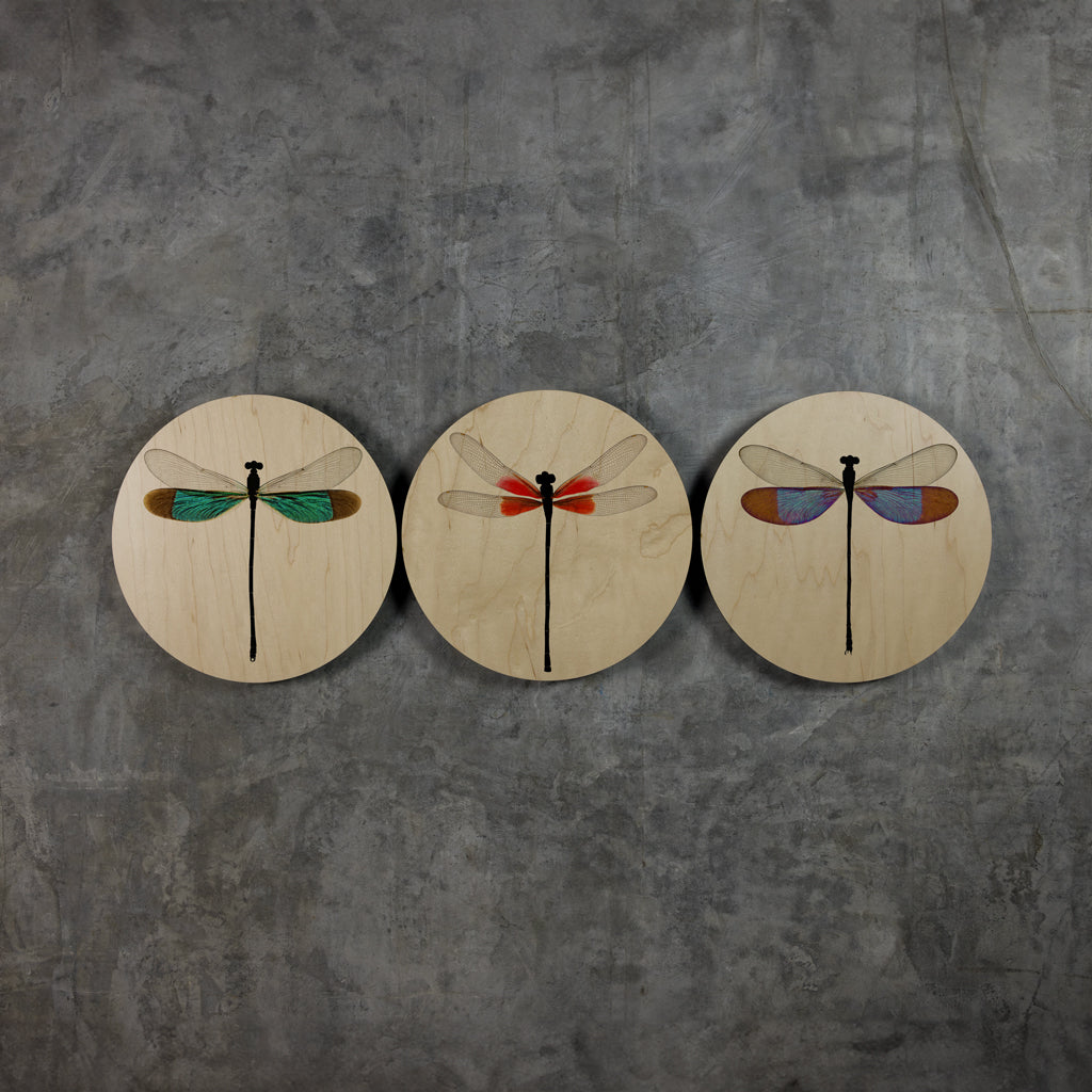 Geometrics - Damsels