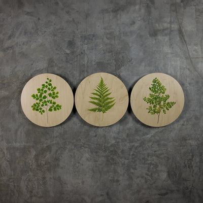 Geometrics - Ferns