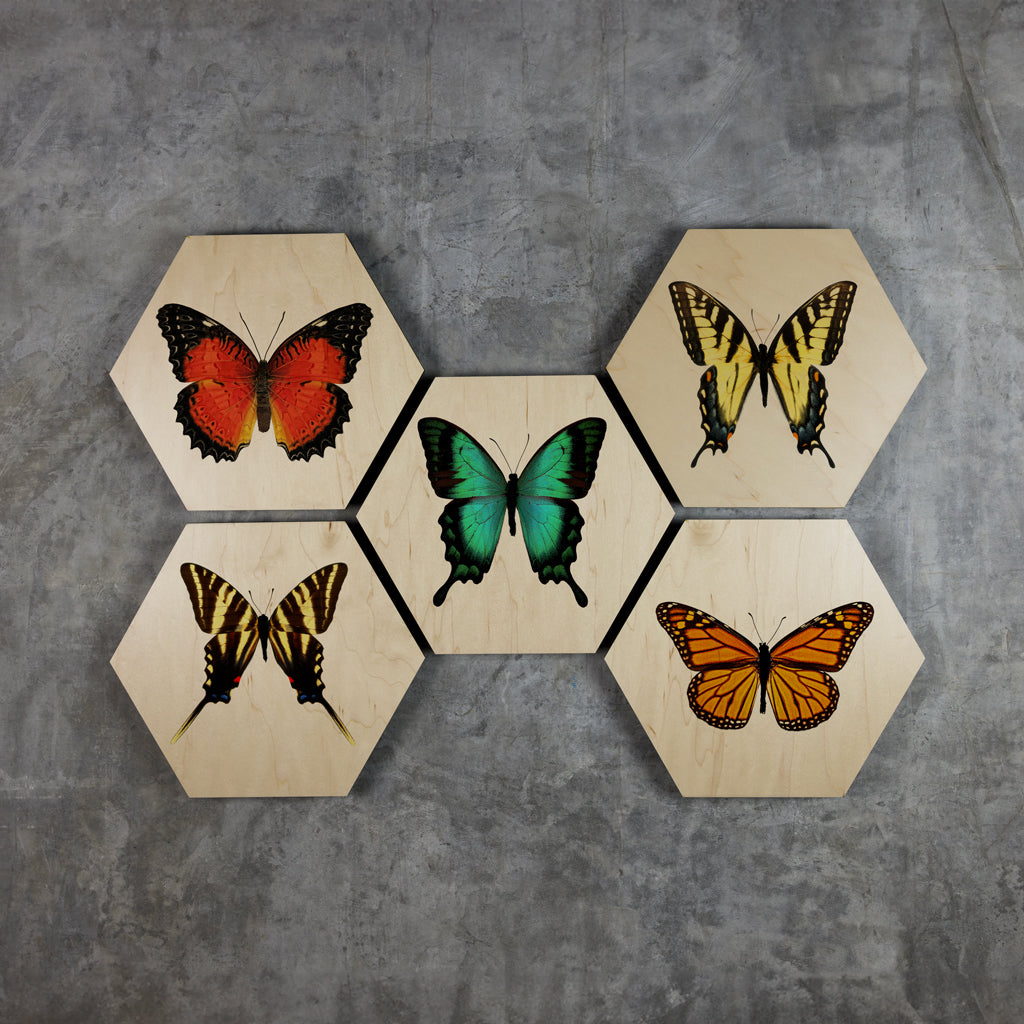 Geometrics - Butterflies