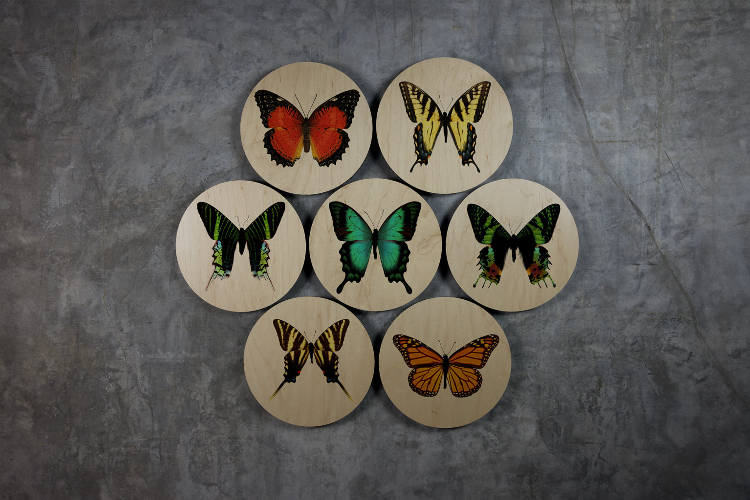 Geometrics - Butterflies