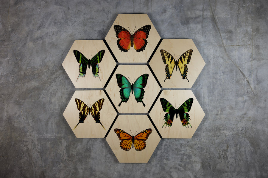 Geometrics - Butterflies