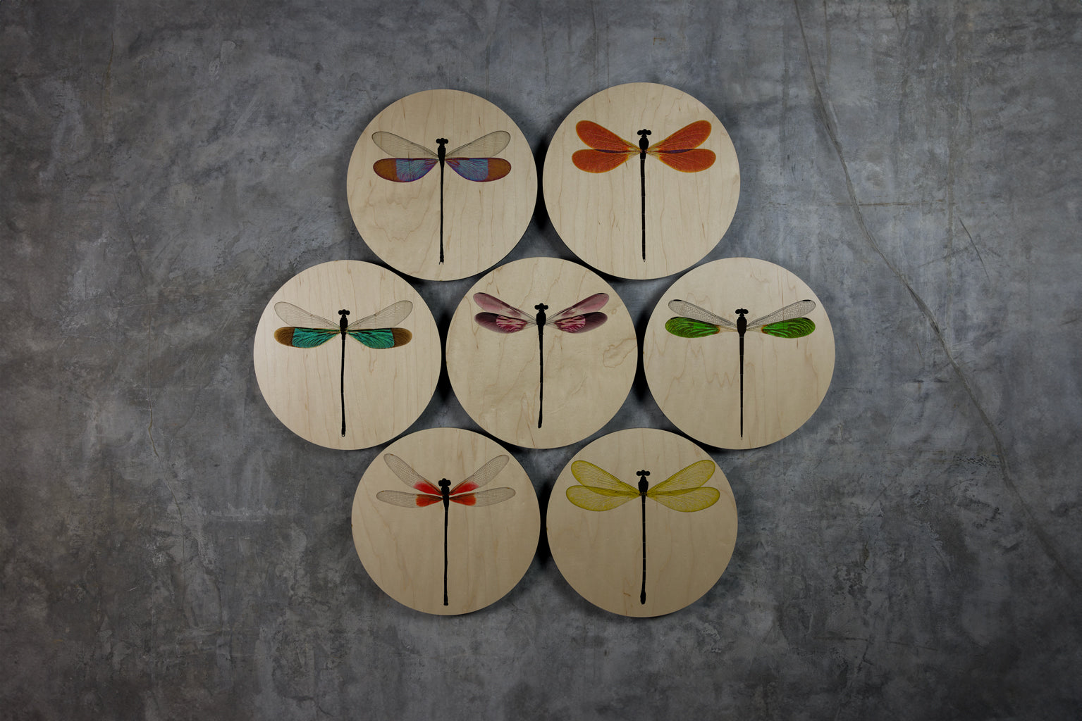 Geometrics - Damsels