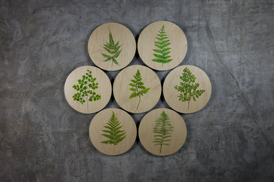 Geometrics - Ferns