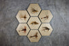 Geometrics - Fishing Flies