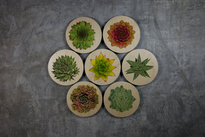 Geometrics - Succulents