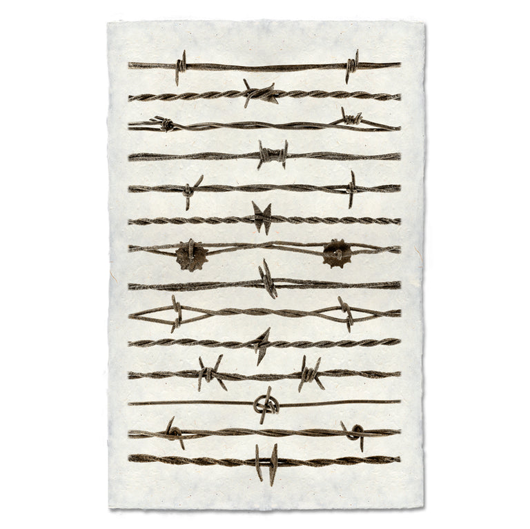 Field and Streams Collection — BARLOGA STUDIOS- fine photographs on ...