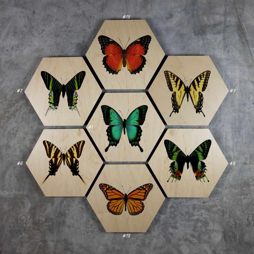 Geometrics - Butterflies