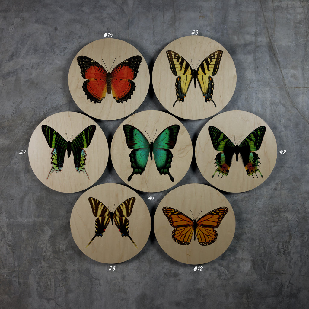 Geometrics - Butterflies