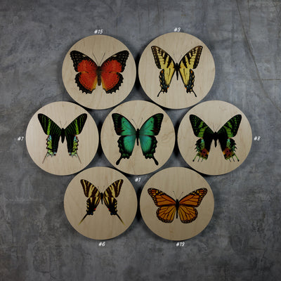 Geometrics - Butterflies