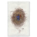 Blue Berry Nest bird's nest wall art print — fine art avian photography on handmade paper, San Francisco