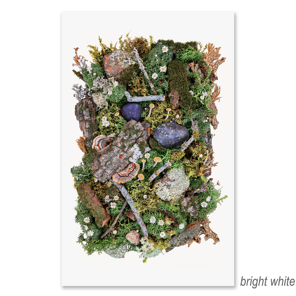 Boscage grand format