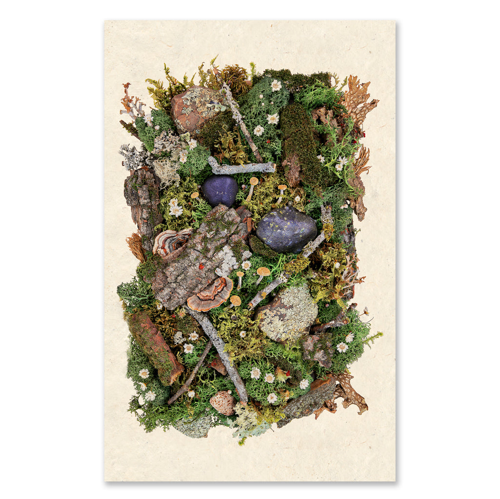 Boscage grand format