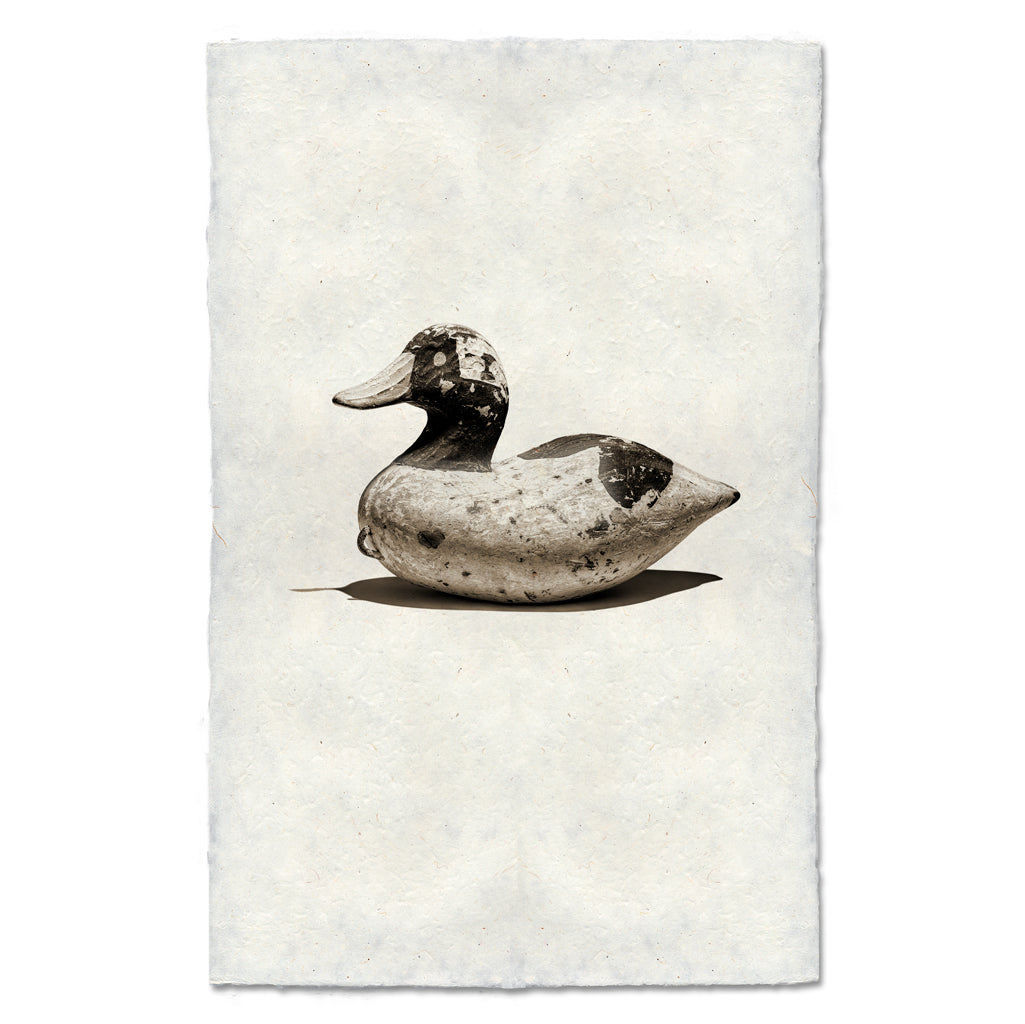 Bufflehead Decoy