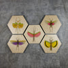 Geometrics - Bugs