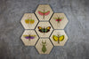 Geometrics - Bugs