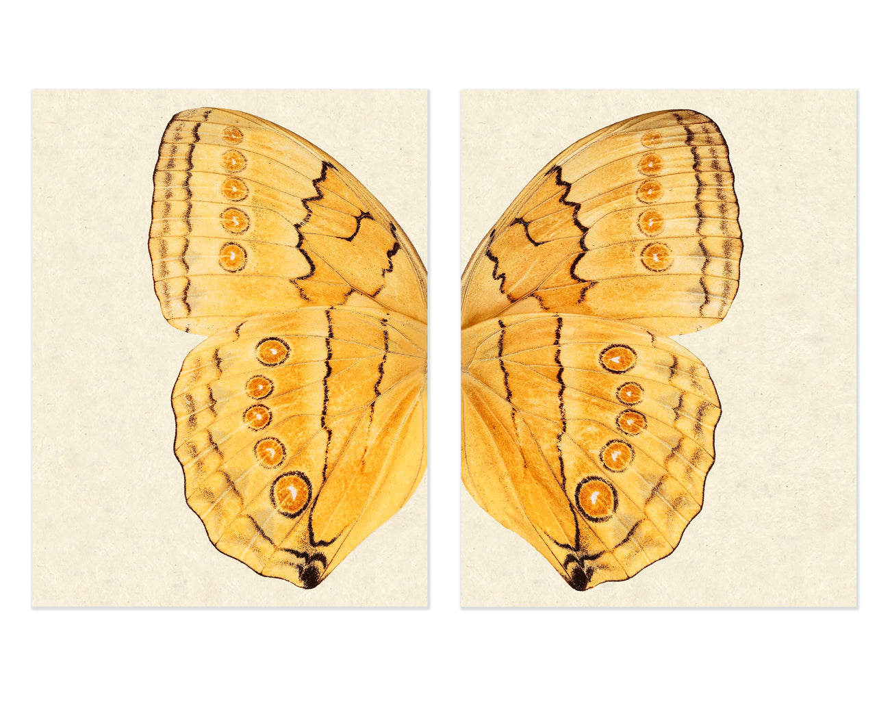 Diptych