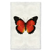 Butterfly #15