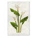 Calla Lily floral wall art print — fine art botanical photography on handmade paper, San Francisco