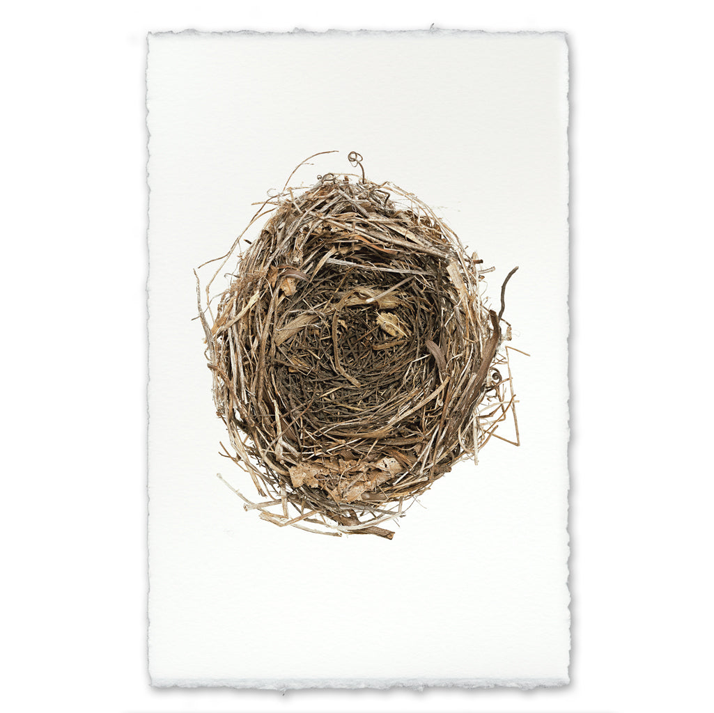 Cardinal's Nest