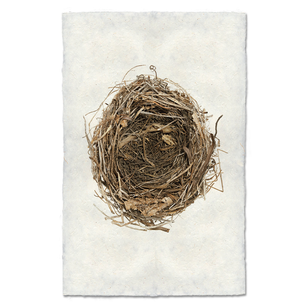 Cardinal's Nest