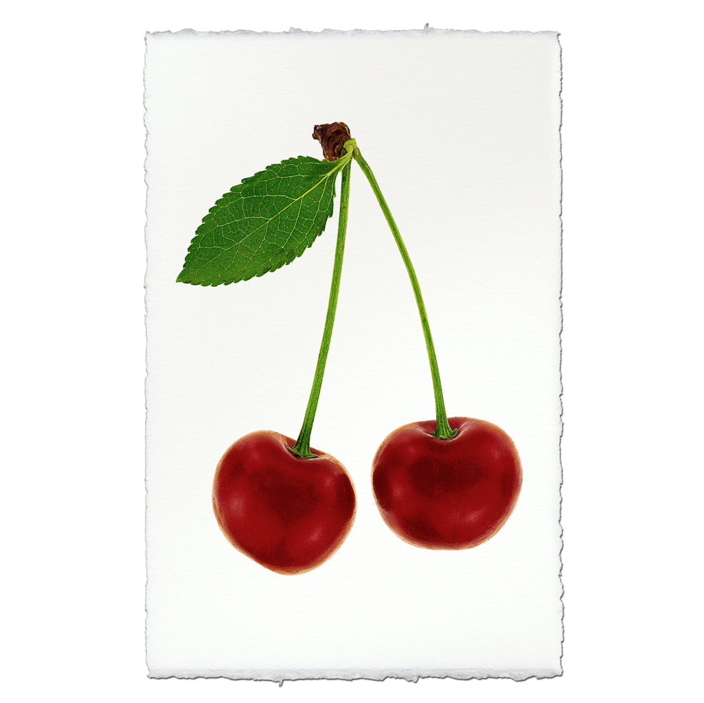 Double Cherry