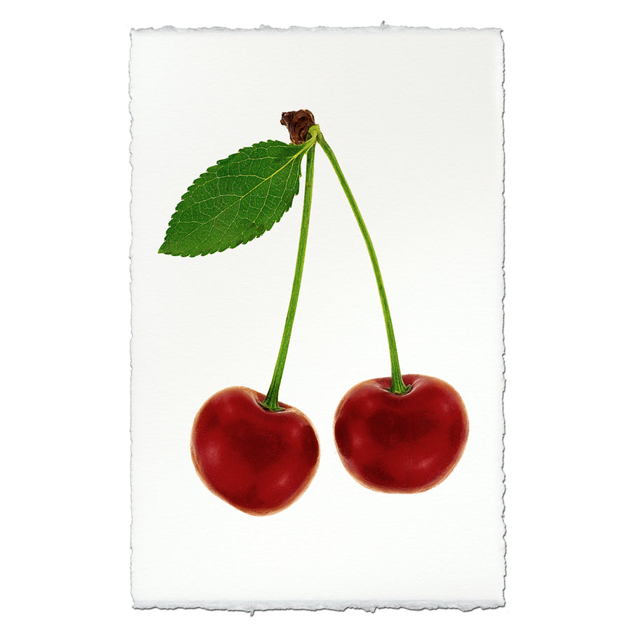 Double Cherry