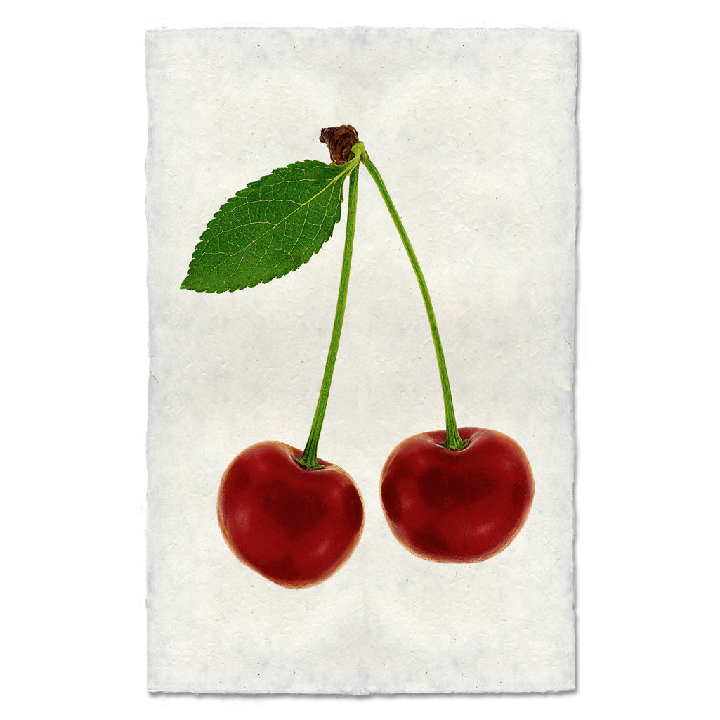 Double Cherry