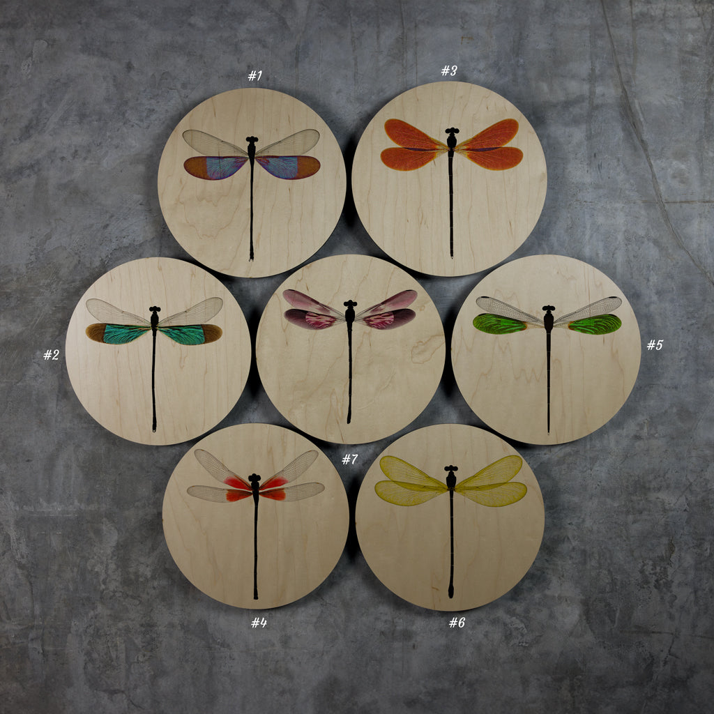 Geometrics - Damsels