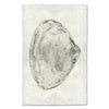 Atlantic Clam #3