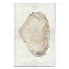 Atlantic Clam #8