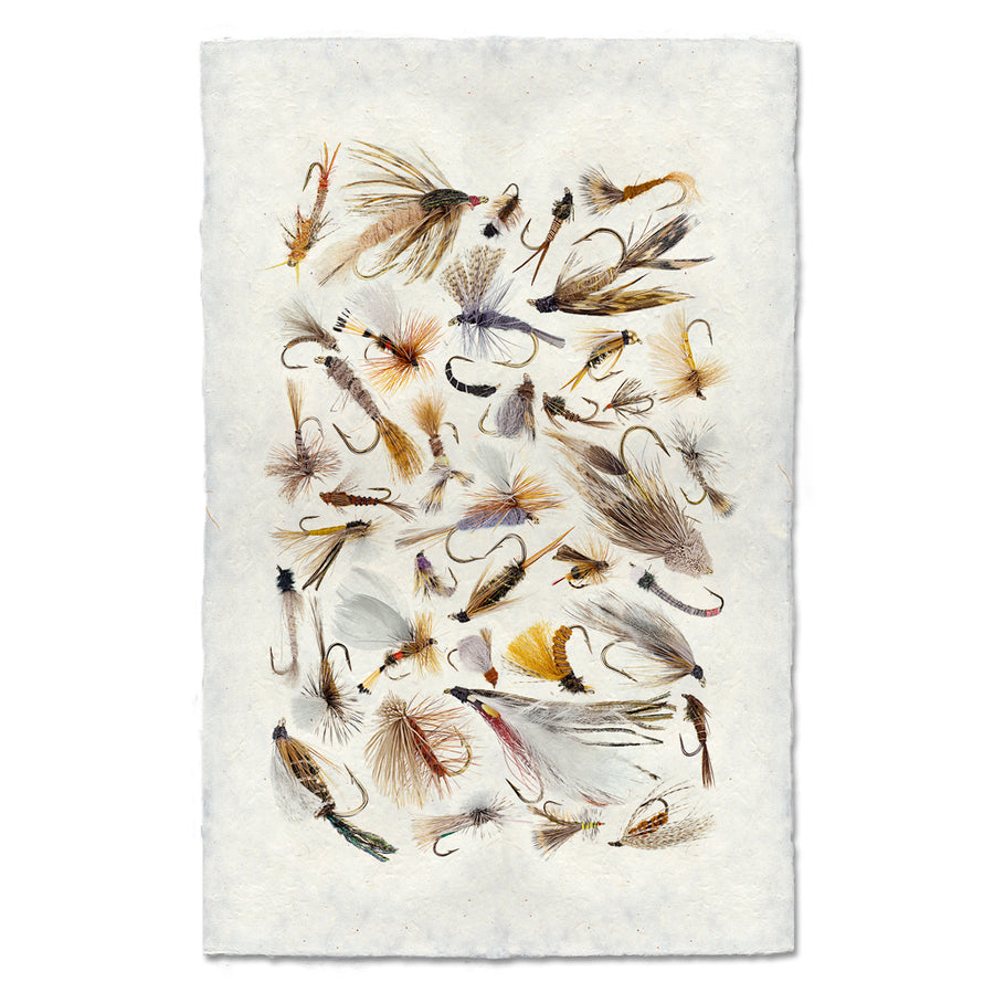 Collective Fishing Flies #2