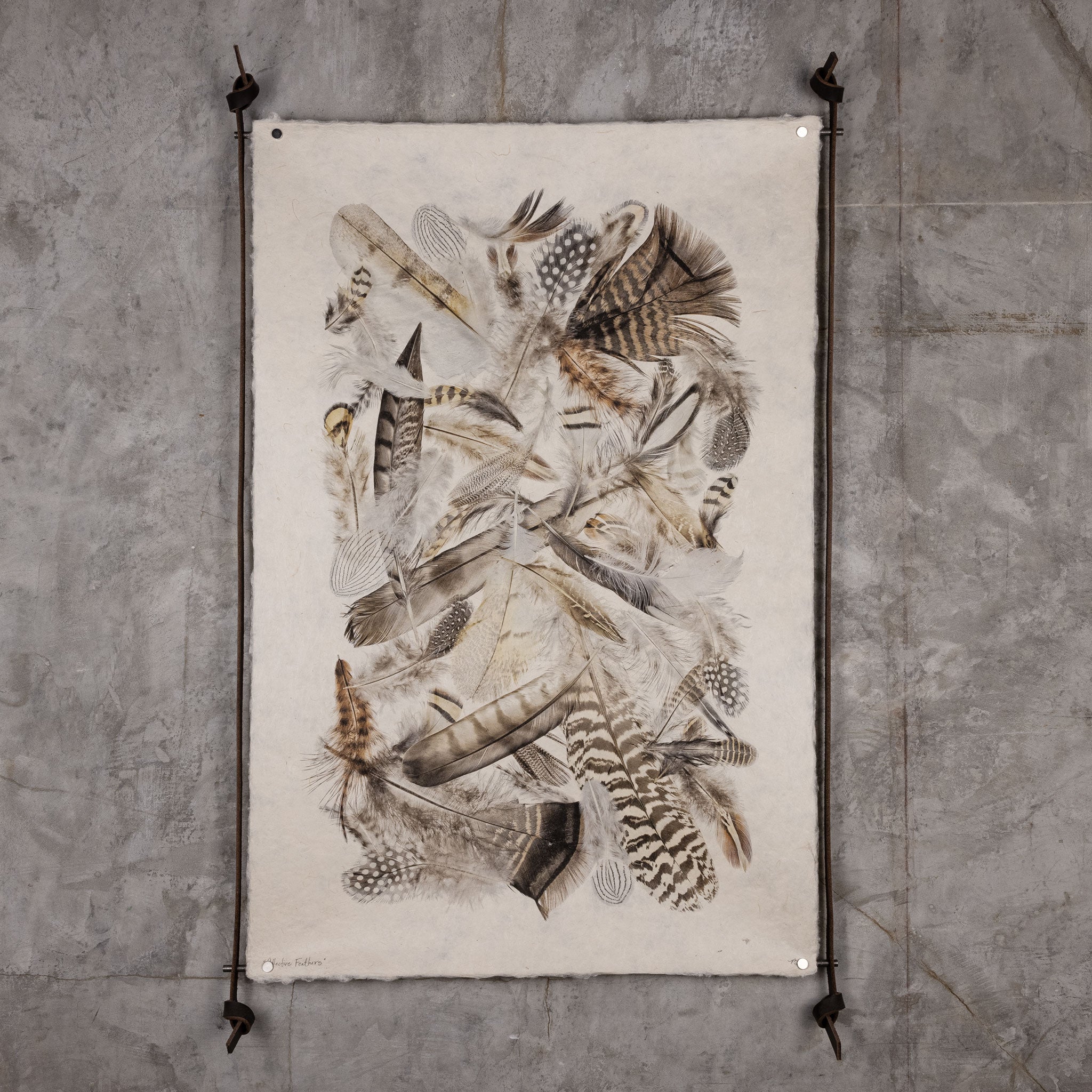 Collective Feathers Display (20"x30")