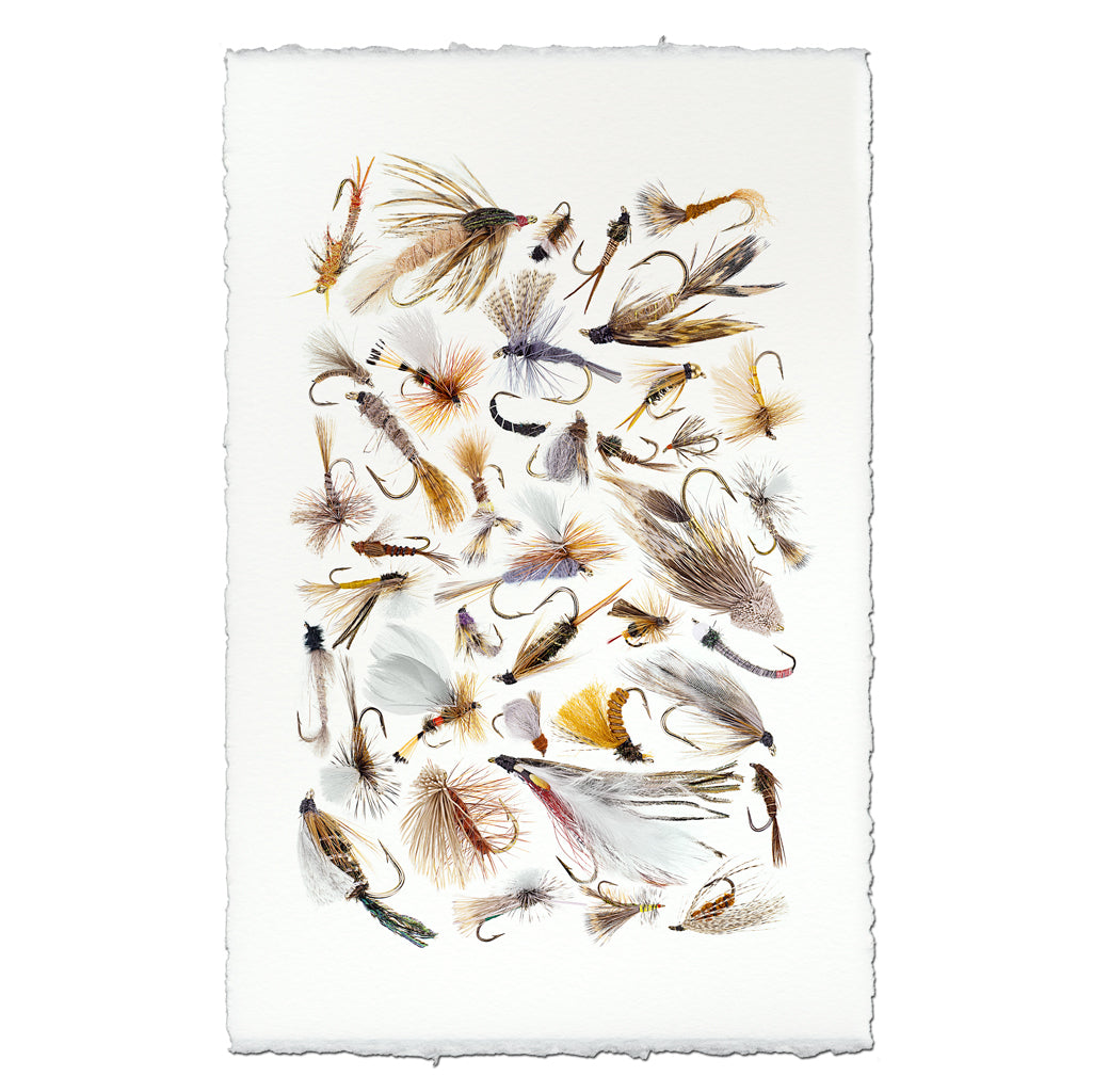 Collective Fishing Flies #2